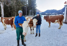Winterauslauf für Tiergesundheit