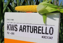 Die neue Generation Mais!