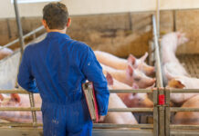 Totschnig, Strasser springen für Landwirte in die Bresche