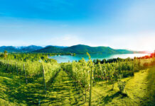 Erste Kärntner Riedenverordnung beschlossen