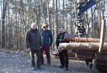 Holz sichert Arbeitsplätze