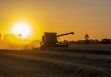 Innovative Technik beim Mähdreschen für mehr Artenvielfalt