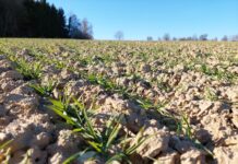 Düngeverbote enden, dennoch ist weiter Vorsicht geboten