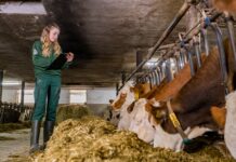 Mehr Unterstützung für Betriebe in Notfällen