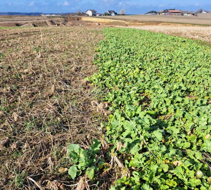 2322 W So Wi Begruenung Archiv