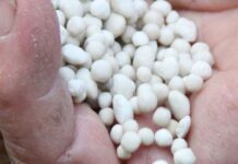 N-Dünger nach Kultur und Bodenart wählen