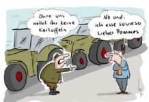 Kartoffelpflanzgut nach Produktionsziel aufbereiten