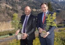 Neues Saatgut-Haus: Für Forstgarten Nikolsdorf soll 2025 ein Samenjahr werden