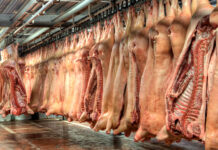 Schweine-, Rindfleisch EU-weit im Sinkflug