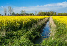 Knappe Mehrheit für Renaturierungsgesetz