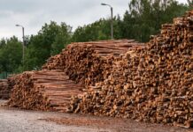 Stora Enso rutschte in die roten Zahlen