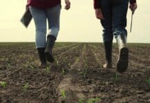 Ackerland kostet im EU-Durchschnitt gut 10.000 Euro