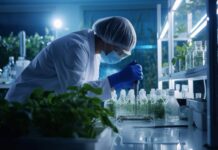 Internationales EU-Projekt zum Pflanzenschutz gestartet