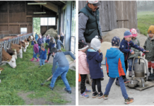 Jetzt für „Open Bauernhof“ anmelden und mitmachen