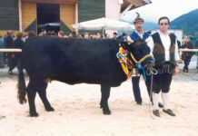 Karl Mair zum Gedenken