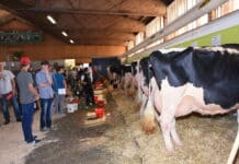 Messen funktionieren wieder: Wels blickt auf vollen Kalender