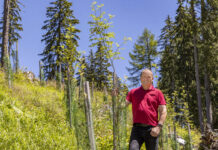 Arbeiten im Wald beginnen wieder