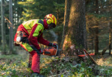 Waldbauern droht ein „Bürokratiemonster“