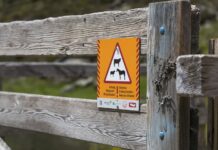 Kranzhorn-Urteil: Alle Schadenersatzforderungen abgewiesen