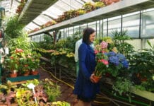 Die Pflanzen-Nahversorger feiern Jubiläum: OÖ Gärtner sind seit 75 Jahren nahe am Kunden