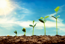 Bestandesführung bei ATACAMA & ANNABELLA!