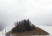 Das waren die Landesskimeisterschaften 2024 in der Niederau