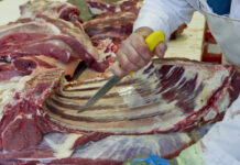 Sattes Umsatzplus für Premium-Fleischverarbeiter