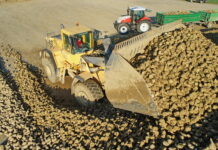 Ausnahmejahr 2023: Rübenkampagne beendet