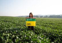 Sojaempfehlungen 2024 der Saatbau Linz