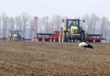 Weizen- und Maisanbau ist in der Ukraine derzeit unrentabel