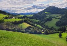 „Geschäftsmodell“ Berglandwirtschaft im Fokus