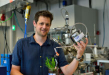 Pflanzen mit Strom füttern