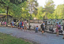 Wie Leader-Projekte Frauen unterstützen