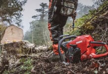 Österreich will Japan neue Holzwege aufzeigen