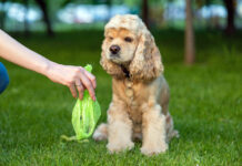 Schneeschmelze beschert „haufenweise“ Ärger