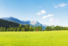 Widmungsbilanz 2023: Weniger Bauland wurde in Anspruch genommen