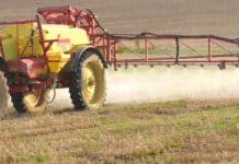 Bayer-Agrarsparte rutscht in rote Zahlen