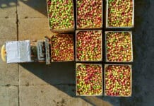 Der „Angstfaktor“ als Tagesgeschäft