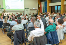 Demokratie im Sinkflug?