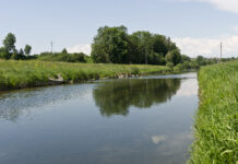 Weltwassertag: Landwirtschaft sorgt für hohe Wasserqualität