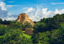 Gemeinsam mit Hermann Schultes Mexiko erkunden