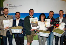 Pferdeheu-Gala: Allerbeste Qualitäten aus Niederösterreich