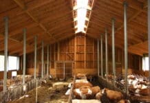 180 Millionen Euro AIK-Volumen