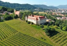 Josef Steinberger: Der gekidnappte Visionär