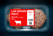 Angebliche Mehrheit für Zulassung von Laborfleisch