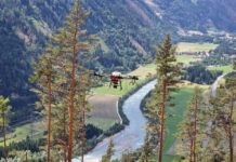 Wiederbewaldung mit Hilfe von oben