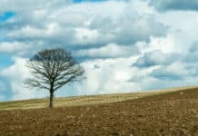 EU-Kommission unter Zugzwang