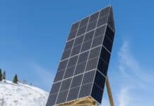 PV-Pappel für genügend Winterstrom