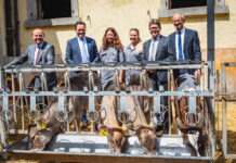 Gewidmete Studienplätze in der Veterinärmedizin