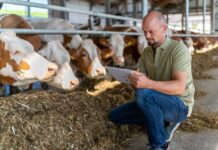 Zeitenwende in der Milchviehfütterung